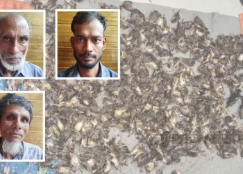 কোনো পশুপাখিকে রেহাই দিচ্ছে না বাংলাদেশিরা, এবারে শালিক-চড়ুই-বাবুই পাখি জবাই করে খেতে শুরু করেছে