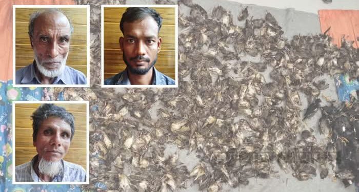 কোনো পশুপাখিকে রেহাই দিচ্ছে না বাংলাদেশিরা, এবারে শালিক-চড়ুই-বাবুই পাখি জবাই করে খেতে শুরু করেছে