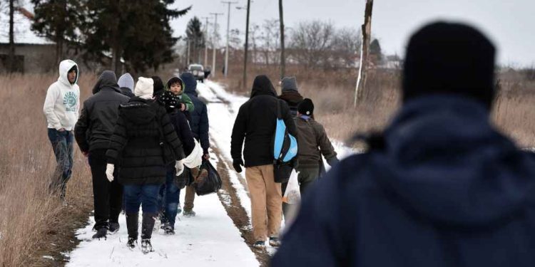 তালিবানের আমলে বেকারত্ব চরমসীমায় ; আফগান তরুণরা দেশ ছেড়ে পালিয়ে গিয়ে আর ফিরে আসে না