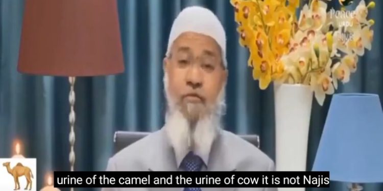 “উট ও গরুর প্রস্রাব অপবিত্র নয়, পবিত্র” : বললেন ইসলামি প্রচারক জাকির নায়েক