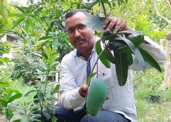 শখের বাগানে দেশ-বিদেশের নানান প্রজাতির ফল ফলিয়ে তাক লাগালেন ভাতারের স্কুল শিক্ষক মোহাম্মদ দয়ালু শরীফ