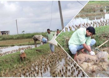 সাক্ষাৎ মৃত্যুর হাত পথ কুকুরের প্রাণ বাঁচালেন ভাতারের পশুপ্রেমী যুবক