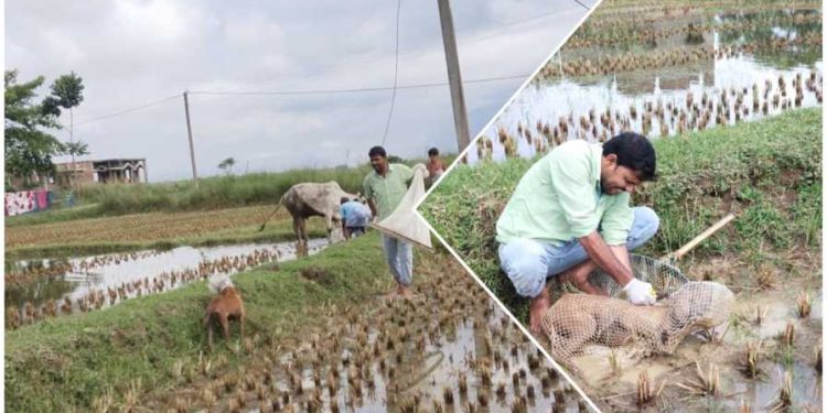 সাক্ষাৎ মৃত্যুর হাত পথ কুকুরের প্রাণ বাঁচালেন ভাতারের পশুপ্রেমী যুবক