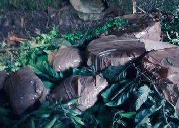 জম্মু ও কাশ্মীর: পুঞ্চে সন্ত্রাসীদের আস্তানা সনাক্ত, আইইডি- ওয়্যারলেস রেডিও সেট বাজেয়াপ্ত