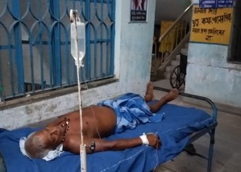 পোস্ত ভেবে আলু ও কিটনাশক ভাজা খেয়ে অসুস্থ বৃদ্ধ