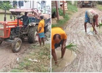 বিজেপি-সিপিএমের সমর্থক হওয়ার অপরাধে মন্তেশ্বরের খরমপুর গ্রামে রাস্তা সংস্কারে অনীহার অভিযোগ, কর্দমাক্ত রাস্তায় ধানের চারা পুঁতে প্রতিবাদ