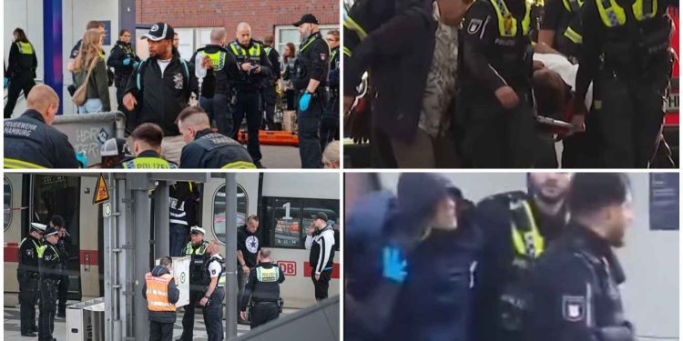 জার্মানির হামবুর্গের রেলস্টেশনে সন্ত্রাসী হামলা, ১৭ জন যাত্রীকে ছুরি দিয়ে এলোপাথাড়ি কুপিয়েছে একজন মহিলা সন্ত্রাসী, ধরা পড়তেই বললো : “হামদুলিল্লাহ”