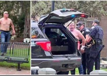 কলোরাডোয় ইহুদিদের সমাবেশে পেট্রোল বোমা নিয়ে হামলা চালালো মহম্মদ সোলেমান নামে এক সন্ত্রাসী, গুরুতর দগ্ধ ২০ শিশুসহ ৩০