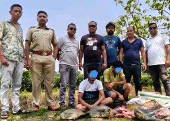 কচ্ছপ কেটে মাংস বিক্রির আগেই ২ জনকে হাতেনাতে ধরে ফেললো জলপাইগুড়ি পুলিশ