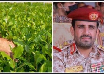 ইসরায়েলি হামলার সময় হুথি সামরিক প্রধান খাট-চিউইং পার্টিতে নেশা করছিলেন – রিপোর্ট