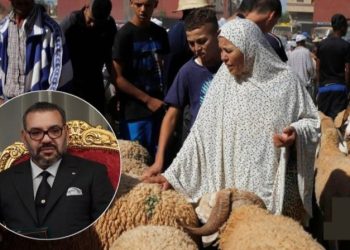 ইসলামিক দেশ মরক্কোতে বকরিদে কোরবানি নিষিদ্ধ ঘোষণা, মরক্কোর সুলতান ষষ্ঠ মোহাম্মদ কেন নিষেধাজ্ঞা জারি করেছেন জানুন