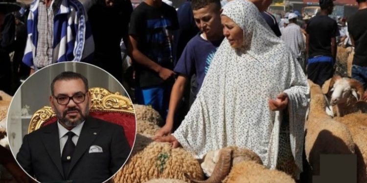 ইসলামিক দেশ মরক্কোতে বকরিদে কোরবানি নিষিদ্ধ ঘোষণা, মরক্কোর সুলতান ষষ্ঠ মোহাম্মদ কেন নিষেধাজ্ঞা জারি করেছেন জানুন
