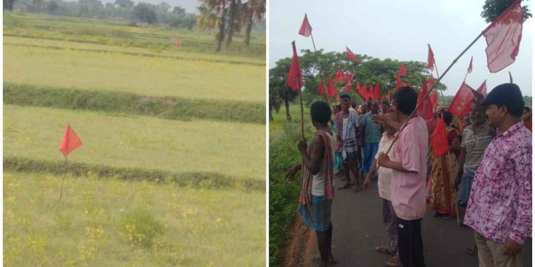 শাসকদলের মদতে বেদখল হয়ে যাওয়া ১৪ একর খাসজমির ‘দখল’ নিল সিপিএম ! তোলপাড় পূর্ব বর্ধমানের ভাতার