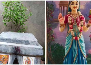 শান্তি ও সম্পদ অর্জন করতে এবং বাস্তু দোষ দূর করতে রোজ এই তুলসী মন্ত্র জপ করুন