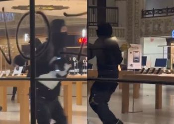 বাংলাদেশের জিহাদিদের কায়দায় আমেরিকায় অ্যাপল ও অ্যাডিডাস স্টোর লুটপাট