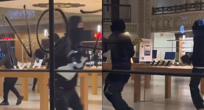 বাংলাদেশের জিহাদিদের কায়দায় আমেরিকায় অ্যাপল ও অ্যাডিডাস স্টোর লুটপাট