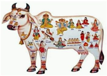 গো সূক্তম : বেদ বর্ণিত গোমাতার পূজা মন্ত্র-পদ্ধতি ও উপকারিতা