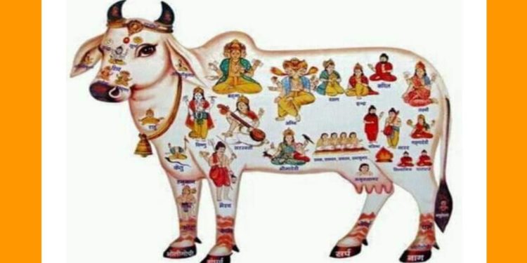গো সূক্তম : বেদ বর্ণিত গোমাতার পূজা মন্ত্র-পদ্ধতি ও উপকারিতা