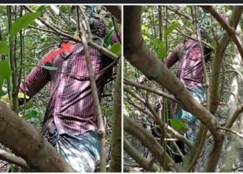 বাংলাদেশের সাতক্ষীরায় গলায় তুলসীর মালা পরা যুবকের মুখ থেঁতলানো ঝুলন্ত দেহ উদ্ধার হল আম বাগানে