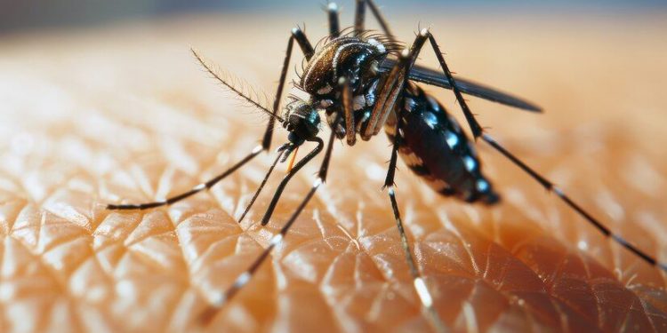 কলকাতায় ডেঙ্গিতে আক্রান্ত হয়ে সপ্তম শ্রেণির ছাত্রীর মৃত্যু