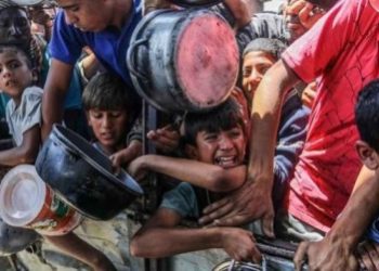 ক্ষুধার্ত গাজাবাসীর নতুন সঙ্কট, ত্রাণের আটায় ভয়ঙ্কর মাদক মিশিয়ে খাওয়ানো হচ্ছে !