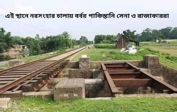 গোলাহাট গণহত্যা : ৪৭৮ জন মাড়োয়ারি হিন্দুকে নৃশংসভাবে কুপিয়ে কুপিয়ে খুন করে পাকিস্তান সেনা,বাঙ্গালি রাজাকার, আলবদর ও আল শামস বাহিনী