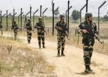 ত্রিপুরায় অনুপ্রবেশের সময় বাংলাদেশি গরু পাচারকারীকে গুলি করে নিকেশ করল বিএসএফ