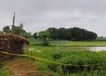 হরিশ্চন্দ্রপুরের গ্রামের ফাঁকা মাঠে মজুত বোমায় বিস্ফোরণ, উদ্ধার হওয়া আরও ৫ বোমা নিষ্ক্রিয় করল পুলিশ