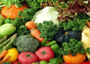 মাংসাশী নয়,শাকাহারীদের দীর্ঘস্থায়ী রোগের ঝুঁকি কম, বার্ধ্যক্য রোধ করে