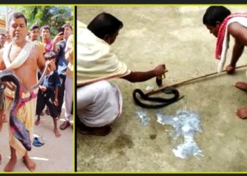 আষাড়ের শুক্লা প্রতিপদ তিথিতে কেউটে প্রজাতির জ্যান্ত ’ঝাঁকলাই’ সাপকে দেবীজ্ঞানে পুজো করলেন বর্ধমনের সাত গ্রামের বাসিন্দারা