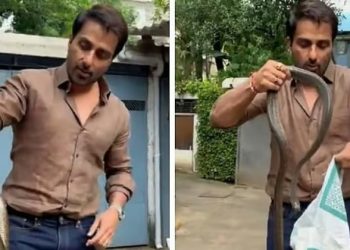 খালি হাতে সাপ ধরে তাক লাগালেন বলিউড অভিনেতা সোনু সুদ ! ভিডিও ভাইরাল