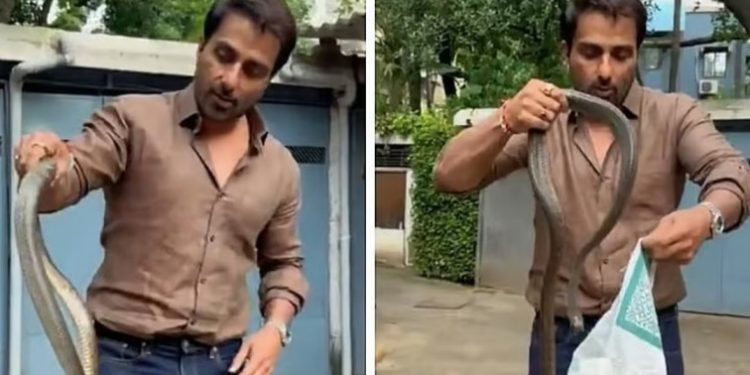 খালি হাতে সাপ ধরে তাক লাগালেন বলিউড অভিনেতা সোনু সুদ ! ভিডিও ভাইরাল