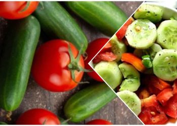 টমেটো ও শসা থেকে সাবধান, ছড়াতে পারে এই মারাত্মক রোগ, এই রোগের সংক্রমণের পাঁচ লক্ষণ সম্পর্কে জানুন