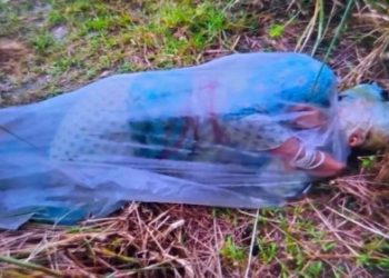 বরিশালে হিন্দু মহিলার সঙ্গে নারকীয় অত্যাচার, গনধর্ষণের পর হাত-পা বেঁধে শরীরে অ্যাসিড ঢেলে পলিথিনে মুড়ে ফেলে যায় নরপশুর দল