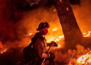 ক্যালিফোর্নিয়ায় ভয়াবহ দাবাবলে গৃহহীন কয়েক হাজার পরিবার 