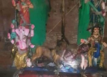 নাটোরের শিব দুর্গা মন্দিরে দেবী প্রতিমায় আগুন ধরিয়ে দিল জিহাদিরা