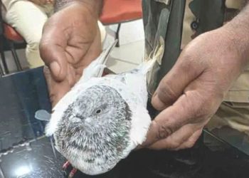 জম্মু রেল স্টেশন উড়িয়ে দেওয়ার হুমকি লেখা চিরকুট পায়রার শরীরে বেঁধে পাঠালো পাকিস্তানি সন্ত্রাসীরা