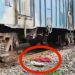 রেল লাইনের ধারে লাল কাপড়ে মোড়ানো সদ্যজাত শিশুর মৃতদেহ, সন্দেহের তির হাসপাতাল ও নার্সিংহোমের দিকে 