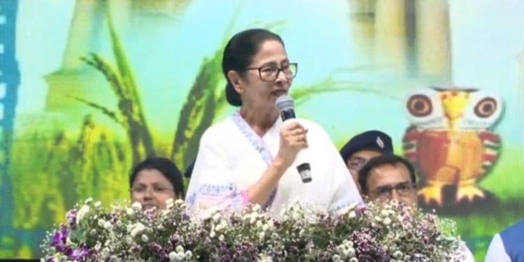 সরকার থেকে বেতন নেন না, একবেলা খান,বই ও গান লেখার টাকায় জীবন চলে : দাবি করলেন মমতা ব্যানার্জি 