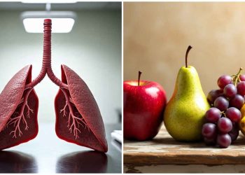 এই ফলগুলি খেলে মুক্তি পাবেন ঘন ঘন সর্দিকাশি থেকে, শক্তিশালী হবে আপনার ফুসফুস ; এই বিরক্তিকর রোগের ঘরোয়া চিকিৎসায় বিশেষজ্ঞ কি পরামর্শ দিয়েছেন জানুন 