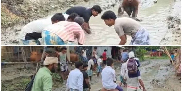 নালায় রূপ নেওয়া রাস্তার এক কোমড় জলে মাছ ধরার ভঙ্গিতে জাল ফেলে অভিনব প্রতিবাদ মালদার রতুয়ার খাসপাড়া গ্রামে