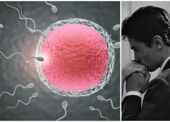 সন্তান ধারণের জন্য শুক্রাণুর সংখ্যা কত হওয়া উচিত ? কম হলে কী করবেন ? এই বিষয়ে ডাক্তারের পরামর্শ কি জানুন