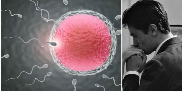 সন্তান ধারণের জন্য শুক্রাণুর সংখ্যা কত হওয়া উচিত ? কম হলে কী করবেন ? এই বিষয়ে ডাক্তারের পরামর্শ কি জানুন