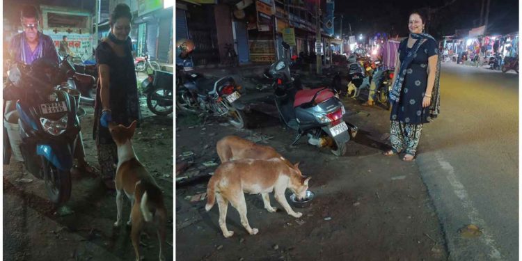 এই পশুপ্রেমী দম্পতির কারনে অভুক্ত থাকেনা ভাতার বাজারের কোনো পথকুকুর, অসহায় কুকুরদের জন্য প্রতি মাসে খরচ করেন ৩০,০০০ টাকা