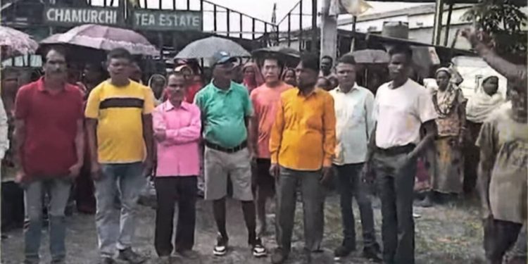 পূজার মুখেই ডুয়ার্সের ৩ চা বাগানে তালা ঝুলিয়ে উধাও মালিক ও ম্যানেজাররা, পথে বসেছে কয়েক হাজার শ্রমিক