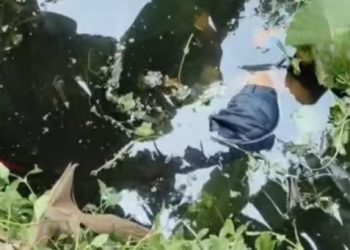 মোথাবাড়িতে পুকুর থেকে বাইকসহ ২ যুবকের দেহ উদ্ধার ঘিরে চাঞ্চল্য, পরিবারের সন্দেহ খুন 