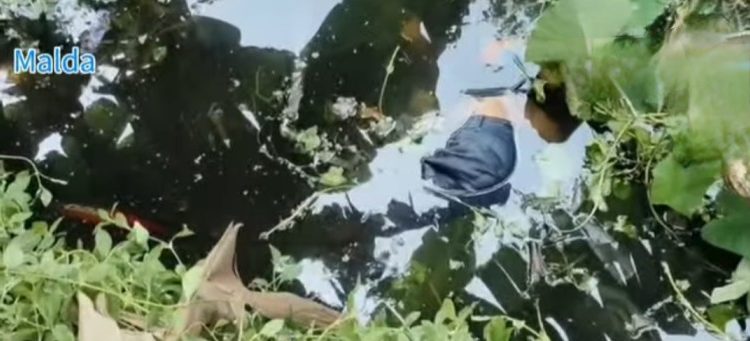 মোথাবাড়িতে পুকুর থেকে বাইকসহ ২ যুবকের দেহ উদ্ধার ঘিরে চাঞ্চল্য, পরিবারের সন্দেহ খুন 