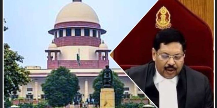 বিচারকদের নিয়োগে “স্বচ্ছ, ন্যায়সঙ্গত এবং যোগ্যতা-ভিত্তিক কাঠামো প্রতিষ্ঠার” দাবিতে প্রধান বিচারপতি ও কেন্দ্রীয় আইন ও বিচারমন্ত্রীকে চিঠি লিখলো সুপ্রিম কোর্ট বার অ্যাসোসিয়েশন 