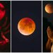 আজ চন্দ্রগ্রহণ : কী করবেন এবং কী করবেন না সেই সম্পর্কে সতর্ক থাকুন, অন্যথায় পস্তাতে হবে 