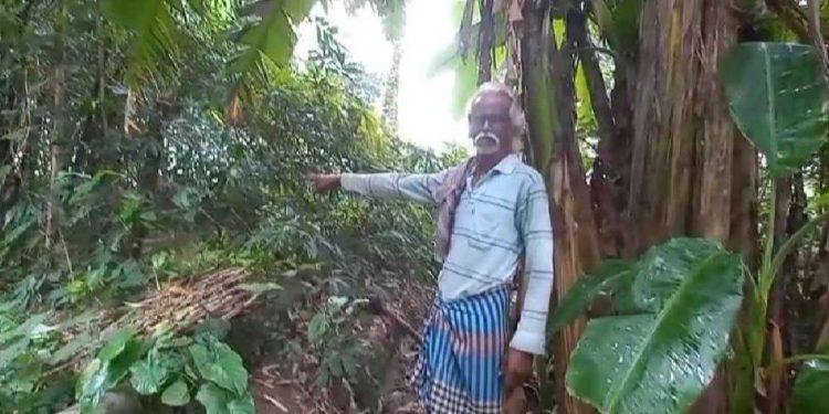 পুকুরে পড়ে থাকা নরকঙ্কালের কাছে উদ্ধার নিখোঁজ যুবকের সাইকেল, চাঞ্চল্য কালনায়